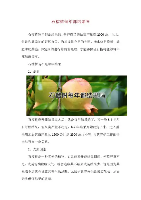 石榴树每年都结果吗