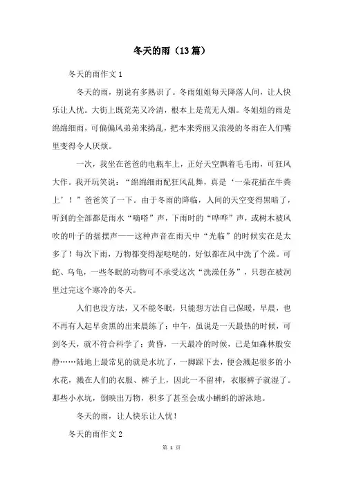 冬天的雨(13篇)