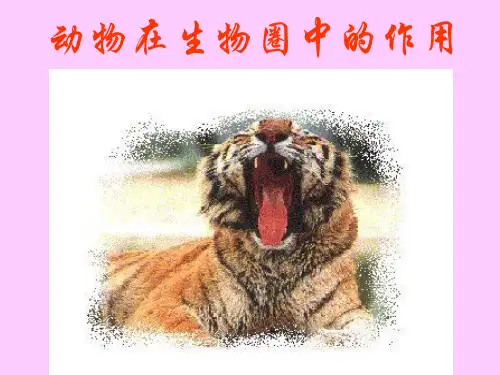 动物在生物圈中的作用课件