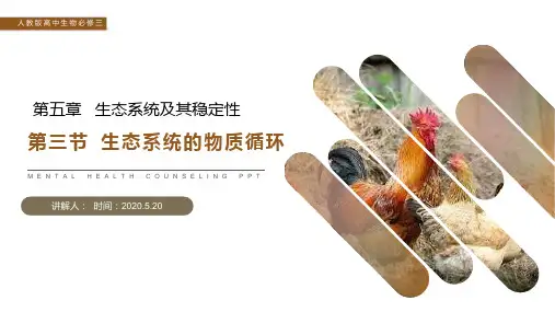 《生态系统的物质循环》人教版高二生物必修三PPT课件