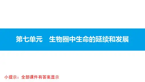 人教版八年级生物下册第七单元第三章生命起源和进化
