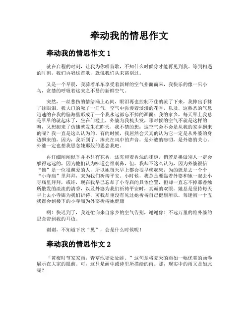 牵动我的情思作文