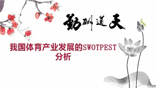 我国体育产业发展的SWOTPEST分析