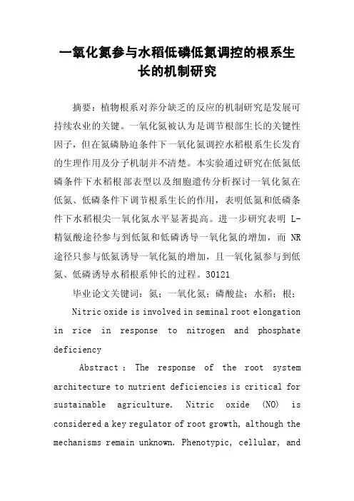 一氧化氮参与水稻低磷低氮调控的根系生长的机制研究