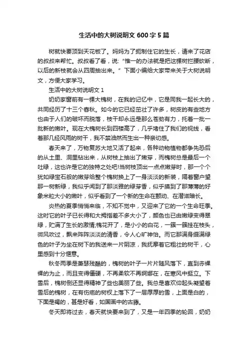生活中的大树说明文600字5篇
