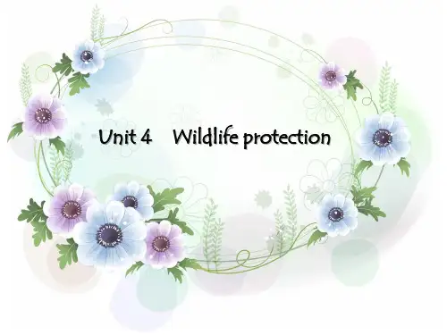 高三英语一轮复习精品课件10：Unit 4 Wildlife protection