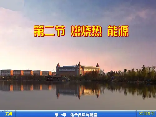 1.2 燃烧热 能源