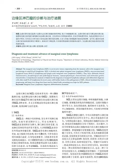 边缘区淋巴瘤的诊断与治疗进展