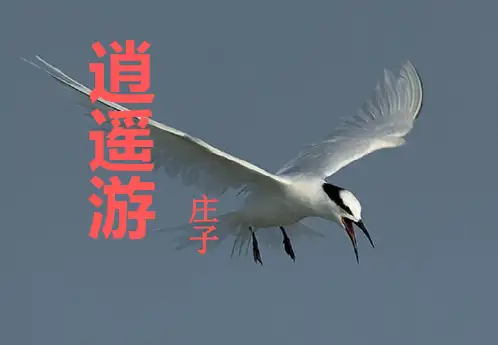 (一等奖)第6课 《逍遥游》规范课课件