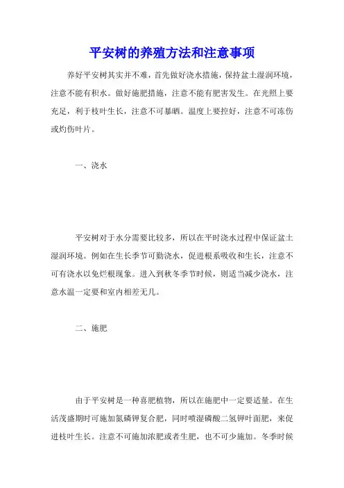 平安树的养殖方法和注意事项