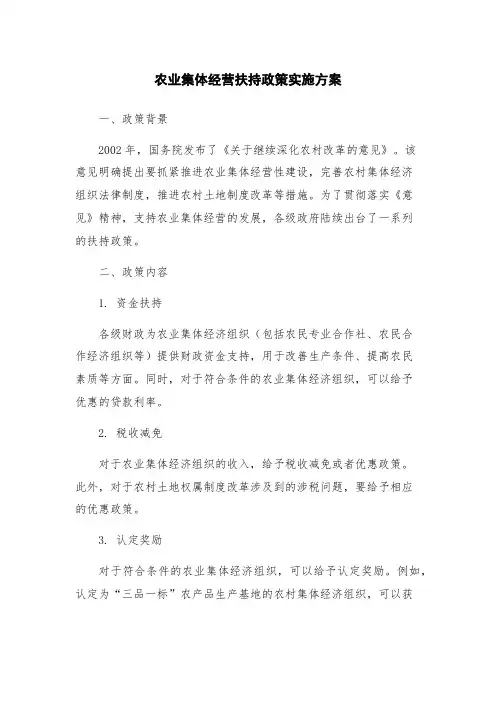 农业集体经营扶持政策实施方案