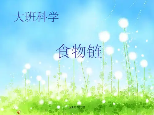 大班科学食物链ppt课件