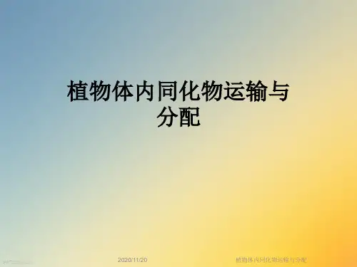 植物体内同化物运输与分配