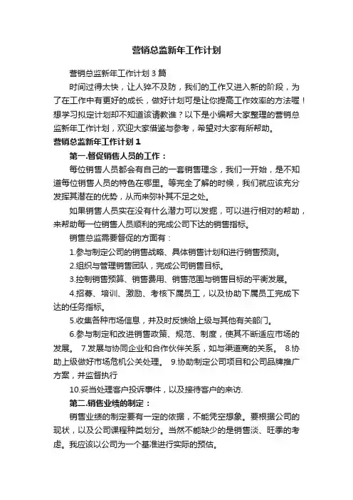 营销总监新年工作计划3篇