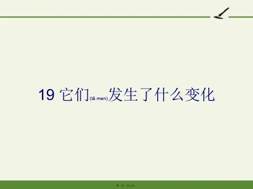 小学科学四年级下册 19 它们发生了什么变化 名师获奖完整PPT课件