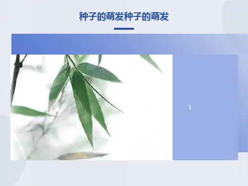 《种子的萌发》ppt课件