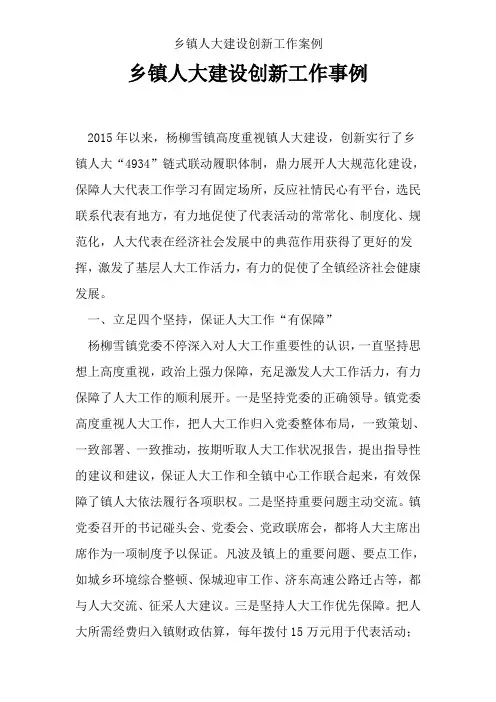 乡镇人大建设创新工作案例