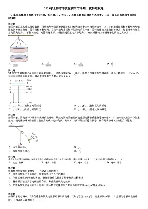 2024年上海市奉贤区高三下学期二模物理试题
