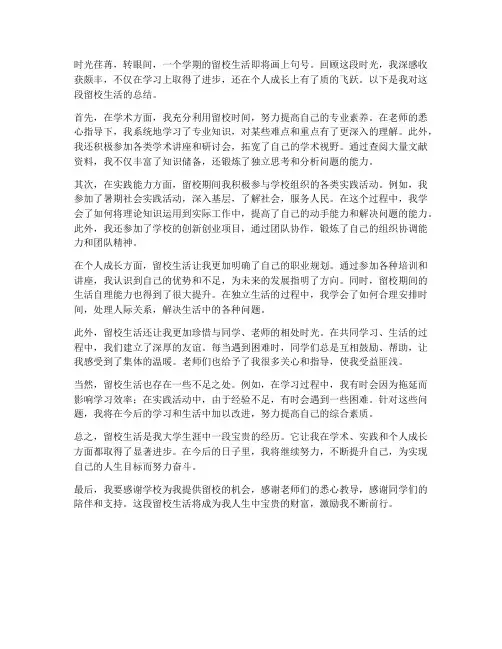 学生留校总结范文