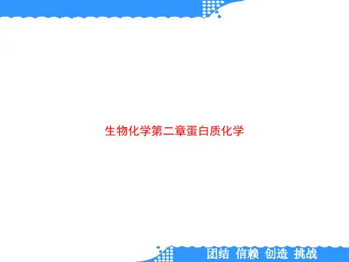 生物化学第二章蛋白质化学