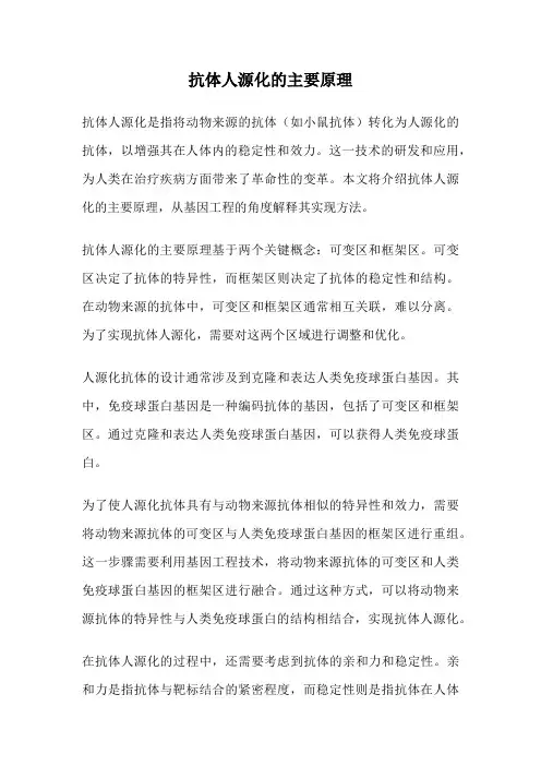 抗体人源化的主要原理
