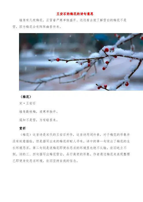 王安石的梅花的诗句意思
