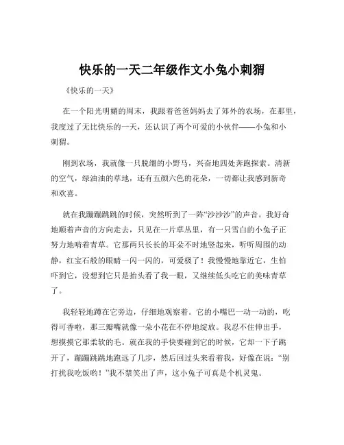 快乐的一天二年级作文小兔小刺猬