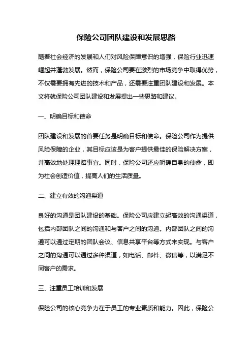 保险公司团队建设和发展思路