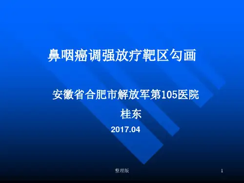 鼻咽癌靶区勾画