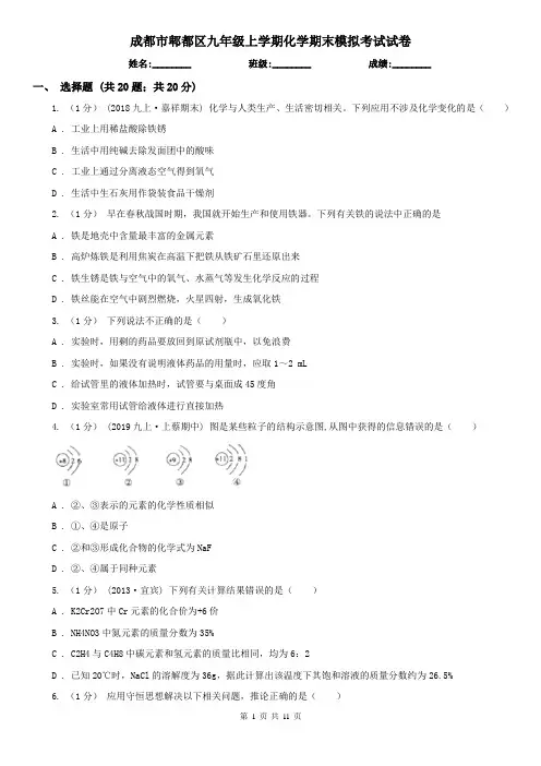 成都市郫都区九年级上学期化学期末模拟考试试卷