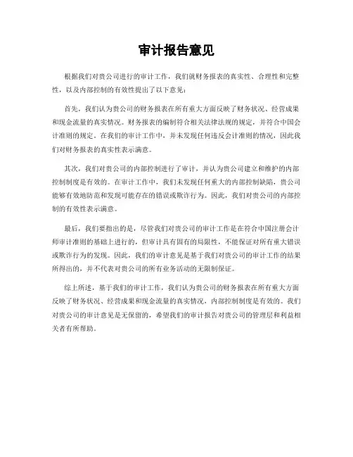 审计报告意见