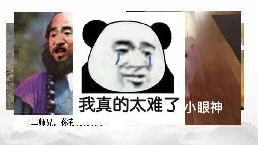 人教版高中政治必修一2.2 价格变动的影响(共23张PPT)
