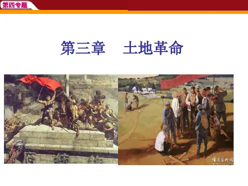 土地革命