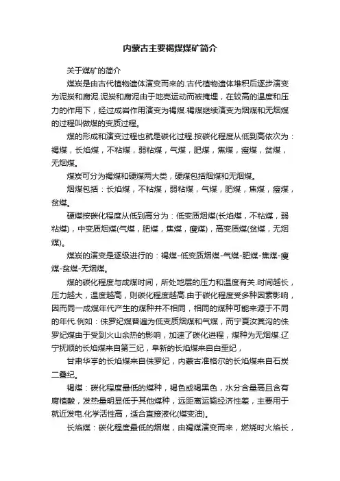内蒙古主要褐煤煤矿简介