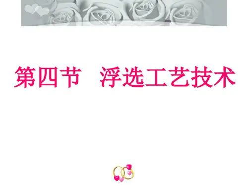 浮选工艺技术培训课程(PPT50张)