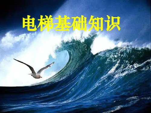 电梯结构及原理图解18795PPT课件