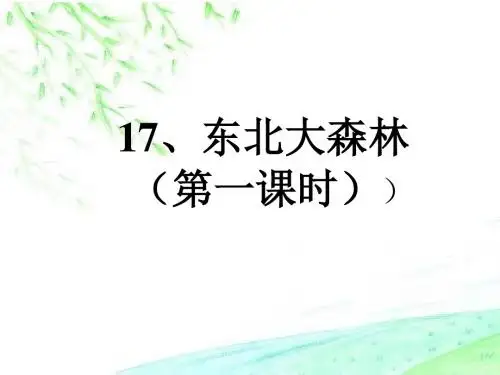 17东北大森林