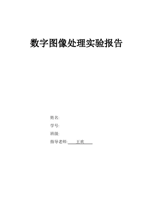 南理工数字图象处理报告