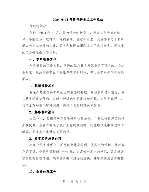 2024年11月银行新员工工作总结