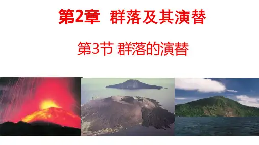 人教版2019高中生物选择性必修2 群落的演替