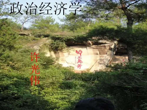 政治经济学原理-资本积累