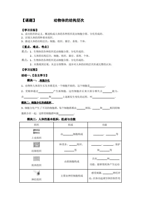 动物体的结构层次  导学案