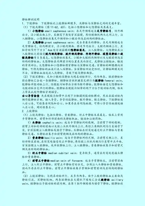 静脉解剖说明