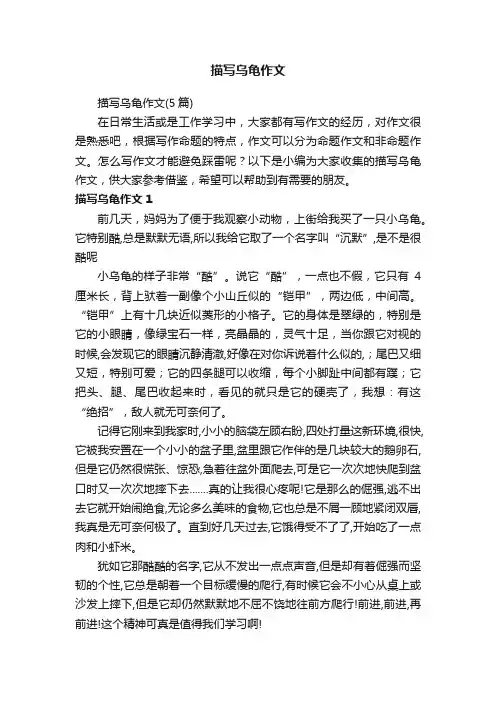 描写乌龟作文（5篇）