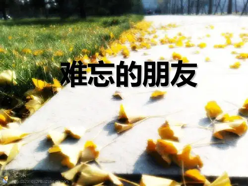 三年级美术下册第9课《难忘的朋友》 优秀课件1人教版