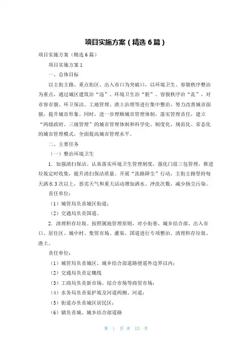 项目实施方案（精选6篇）