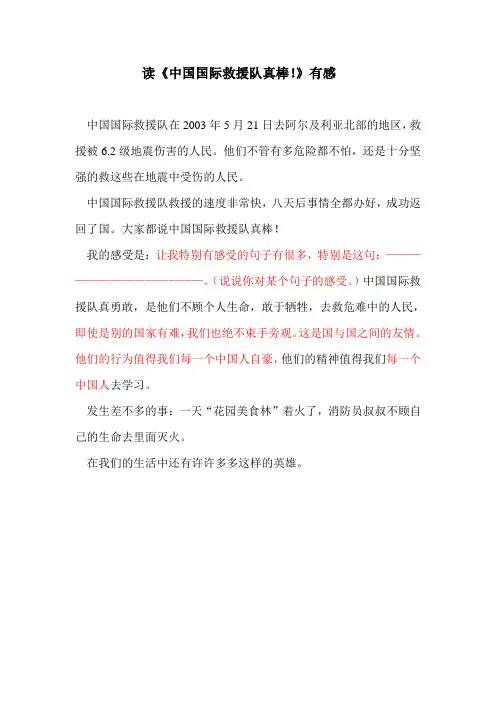 读《中国国际救援队真棒