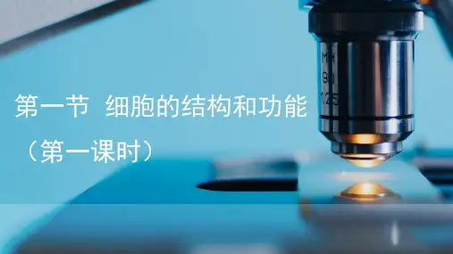 人教版生物七年级上册1.2.1《细胞的结构和功能》(第一课时)课件