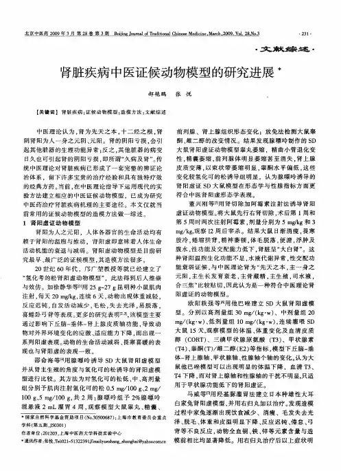肾脏疾病中医证候动物模型的研究进展