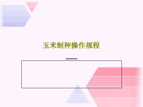玉米制种操作规程共30页文档
